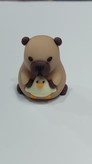 تراش فانتزی سیلیکونی وارداتی کاپی بارا CAPY BARA